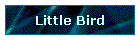 Little Bird