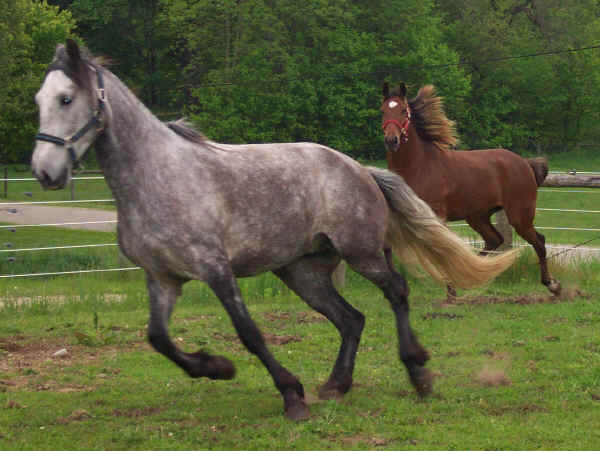 Delray fleeing General